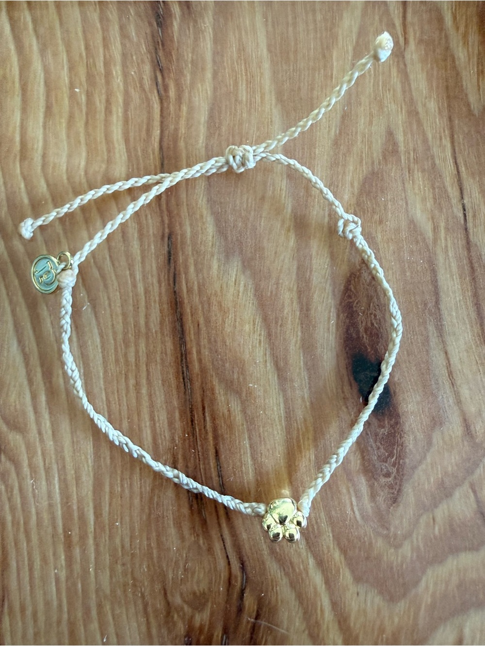 PuraVida Gold Paw Charm Braided Anklet/Bracelet
